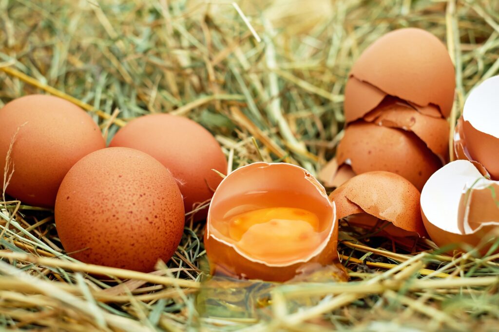 Czy można jeść surowe jajka?